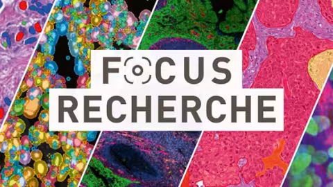 bannière titre research focus