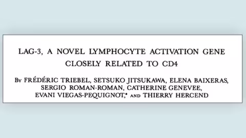 Publication Title