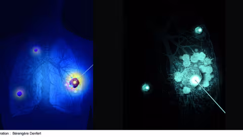 Illustration imagerie médicale