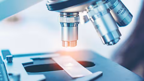 Illustration microscope