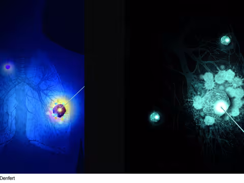 Illustration imagerie médicale