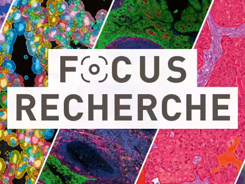 Vignette focus recherche