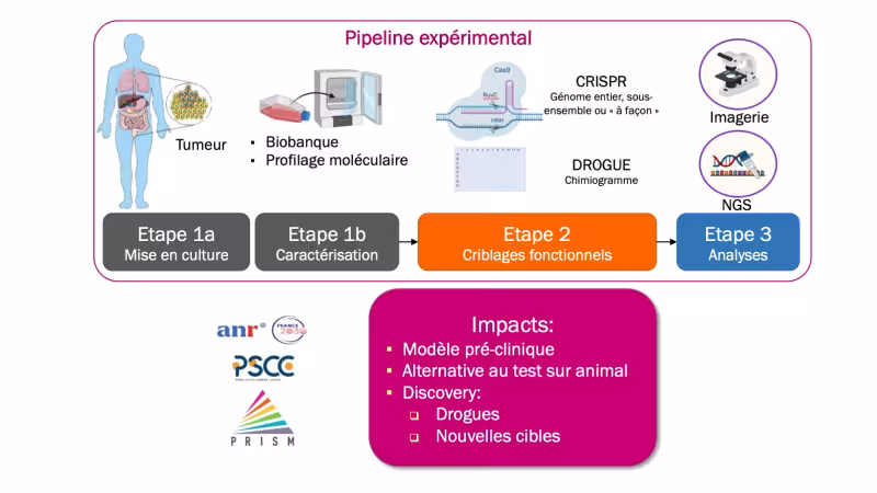 Schéma Pipeline expérimental