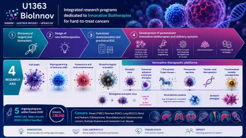 Schéma des axes de recherche de l'unité U1363 BioInnov. Integrated research programs dedicated to Innovative Biotherapies for hard-to-treat cancers.