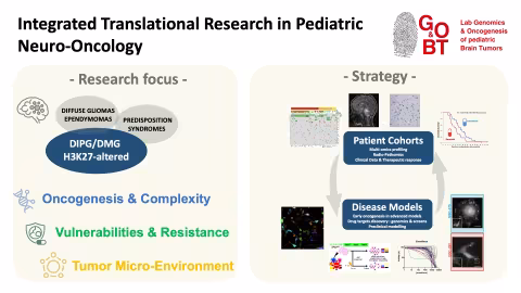 Integrated Translational Research in Pediatric Neuro-Oncology - Research focus - Oncogenesis & Complexity, Vulnerabilities & Resistance, Tumor Micro-Environment